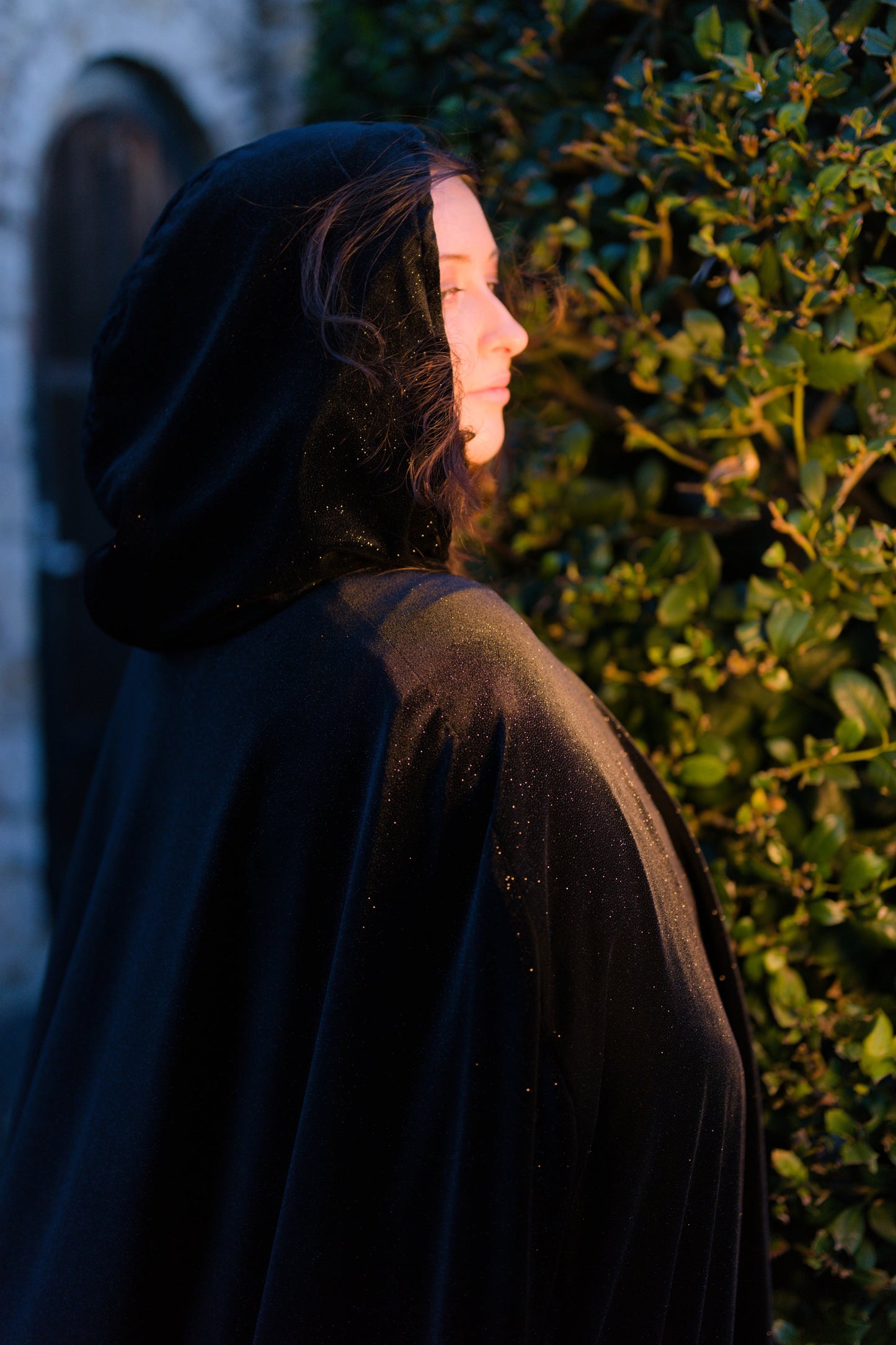 Shimmer Velvet Cloak